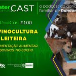 Programa de Rádio