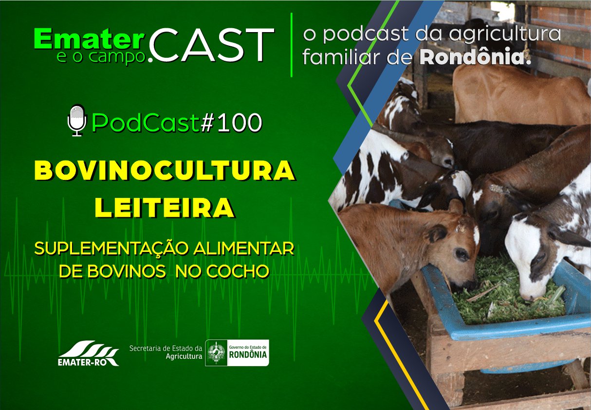 PodCast#100-Suplementação de Bovinos no Cocho