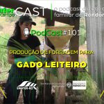 Programa de Rádio