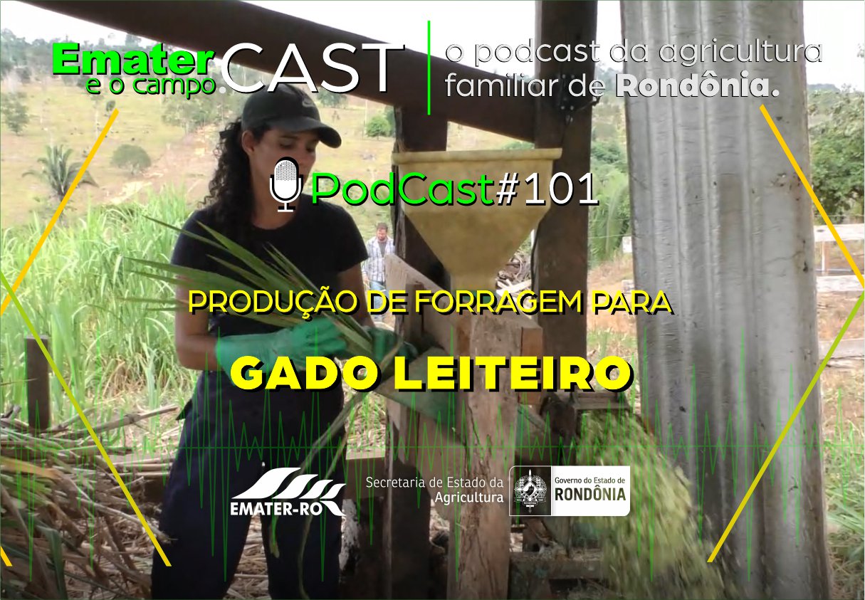 PodCast#101-Producao de Forragem para Gado Leiteiro