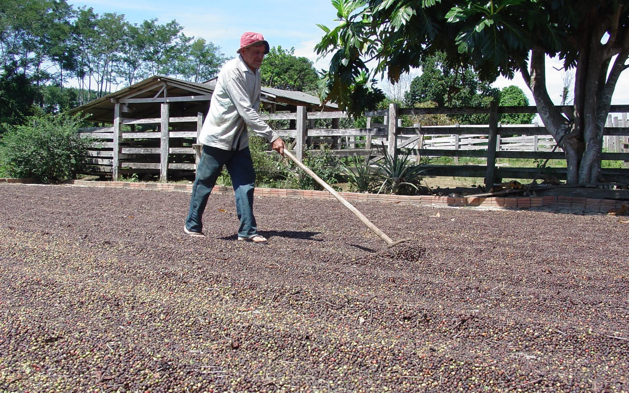 Agricultor-cafe_001- 05maio2018-Irene Mendes