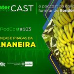 Programa de Rádio