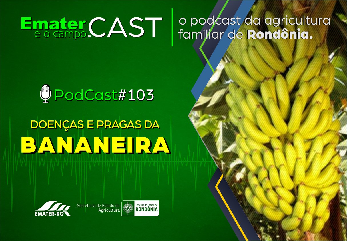 PodCast#103-Doencas e Pragas da Bananeira