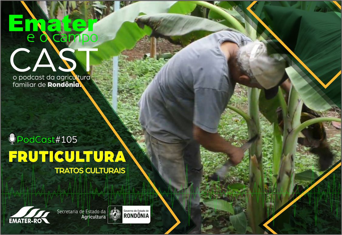 podcast #105-Tratos Culturais em Fruticultura