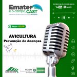 Programa de Rádio