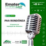 Programa de Rádio