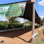 Vitrine Tecnológica apresentará alternativas para produção sustentável durante a 10ª Rondônia Rural Show Internacional