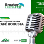 Programa de Rádio