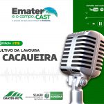 Programa de Rádio