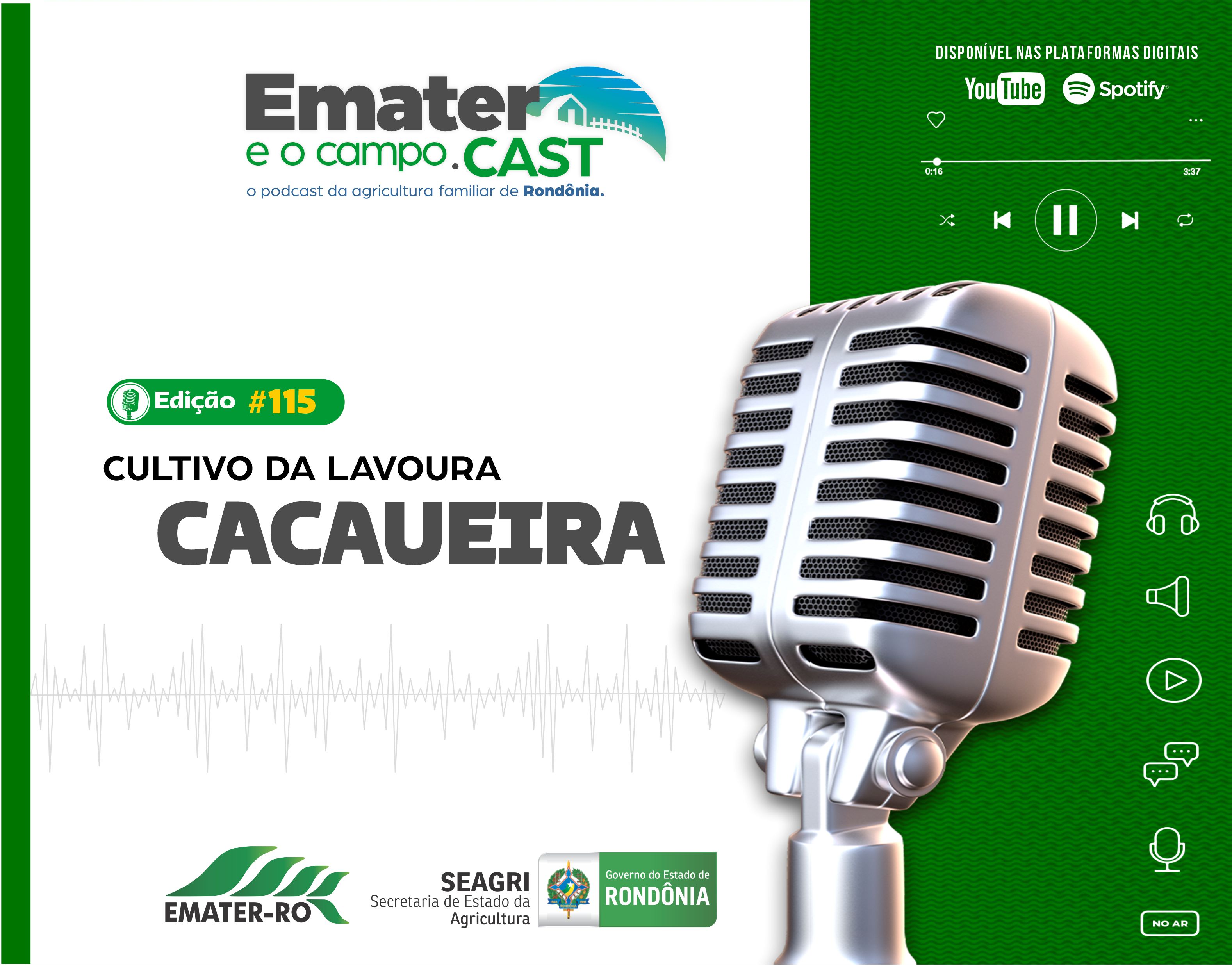 PodCast#115 Cultivo da Lavoura Cacaueira