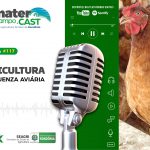 Programa de Rádio