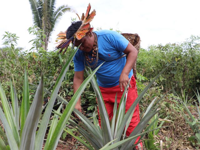 Ater Indígena impulsiona desenvolvimento nas comunidades indígenas de Rondônia