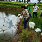 Ação da Emater-RO em Rondominas visa boas práticas de manejo na piscicultura