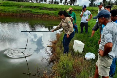 Ação da Emater-RO em Rondominas visa boas práticas de manejo na piscicultura