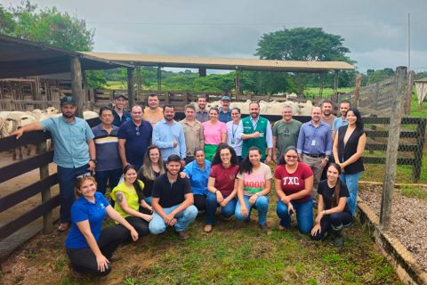 Agricultura familiar em Rondônia terá extensionistas preparados para diagnóstico reprodutivo por imagem de ultrassonografia através do projeto Rufião Móvel