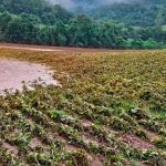 Emater-RO se solidariza com extensionistas da EMATER do Rio Grande do Sul