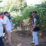 EMATER-RO Prepara Experiência Inovadora para Milhares de Visitantes na Rondônia Rural Show
