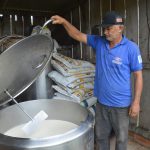 Rondônia Investe em tecnologia para aumentar a produtividade leiteira