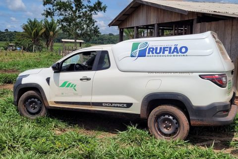 Projeto de melhoria da eficiência reprodutiva fortalece bovinocultura leiteira em Rondônia