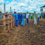 Emater-RO impulsiona pecuária leiteira com ações técnicas e resultados sustentáveis Destaques