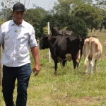 Agricultura