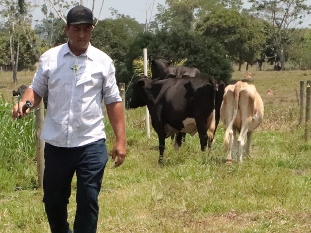 Emater-RO apresenta caso de sucesso da pecuária leiteira em Presidente Medici