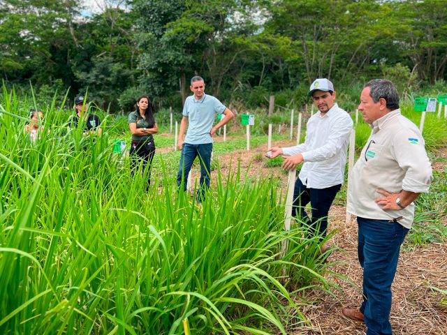 Consultec impulsiona bovinocultura leiteira e transforma a vida de produtores familiares em Rondônia