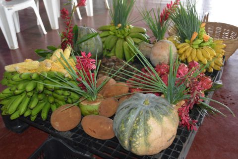 Mais de 2 milhões são investidos pelo governo de RO na agricultura familiar de Pimenta Bueno