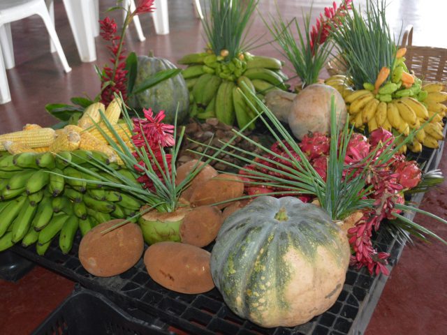 Mais de 2 milhões são investidos pelo governo de RO na agricultura familiar de Pimenta Bueno