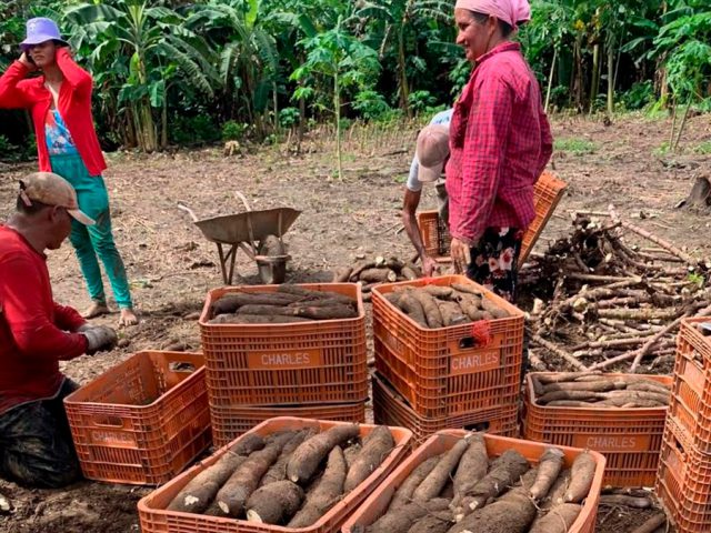Microcrédito orientado pela Emater-RO prioriza agricultores familiares, mulheres e jovens rurais
