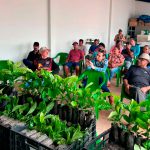 O governo de Rondônia garante mais três milhões de mudas de café para os produtores Agricultura