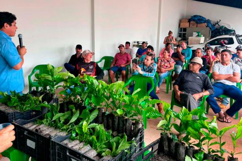 O governo de Rondônia garante mais três milhões de mudas de café para os produtores