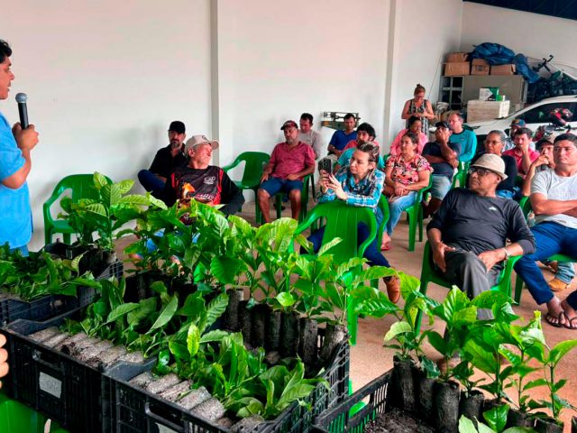O governo de Rondônia garante mais três milhões de mudas de café para os produtores