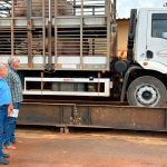 Rondônia busca viabilizar produção de suínos com foco em mercado e exportação