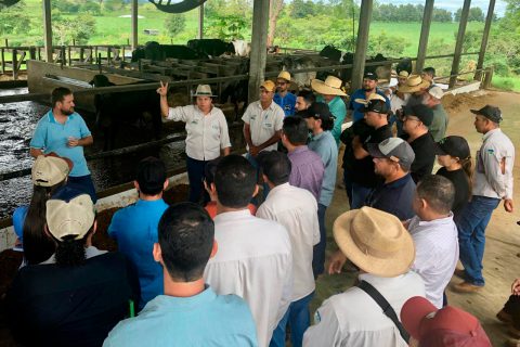 Emater-RO promove capacitação estratégica para fortalecer a pecuária leiteira em Rondônia