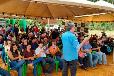 Tecnologia, manejo eficiente e assistência técnica elevam o padrão da cafeicultura em Rondônia