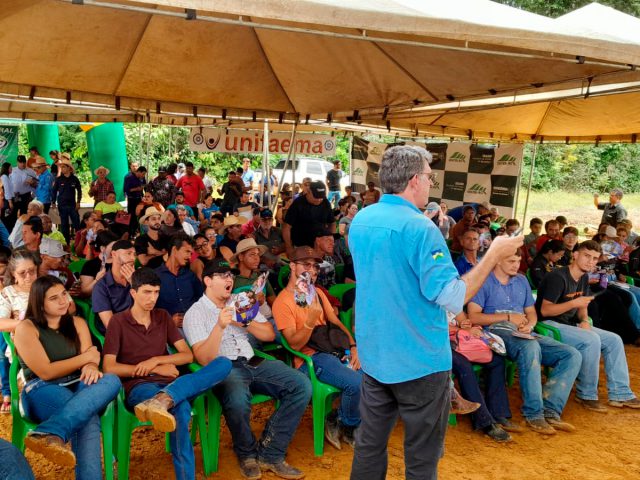 Tecnologia, manejo eficiente e assistência técnica elevam o padrão da cafeicultura em Rondônia