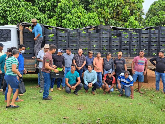 A cafeicultura cresce no Vale do Anari com assistência da Emater-RO