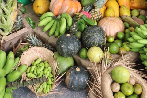 PAA movimenta produção e garante segurança alimentar em Colorado do Oeste