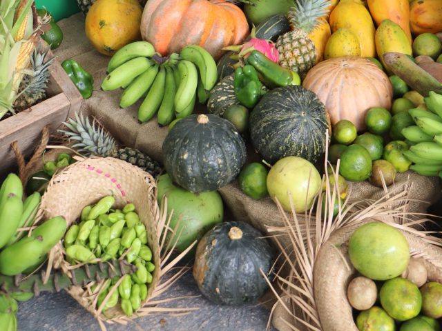 PAA movimenta produção e garante segurança alimentar em Colorado do Oeste