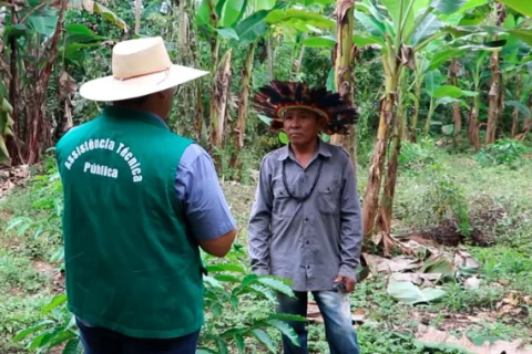 Governo impulsiona a produção agropecuária sustentável e fortalece a autonomia da alimentação e produção excedente dos povos originários de Rondônia