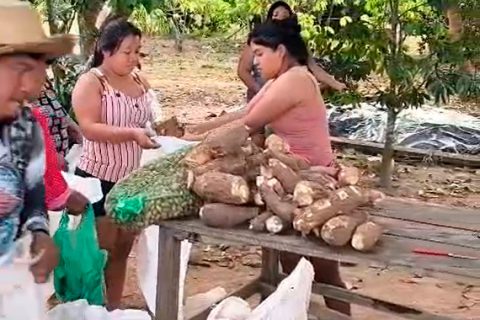 Emater-RO promove segurança alimentar e geração de renda em comunidade indígena por meio do PAA