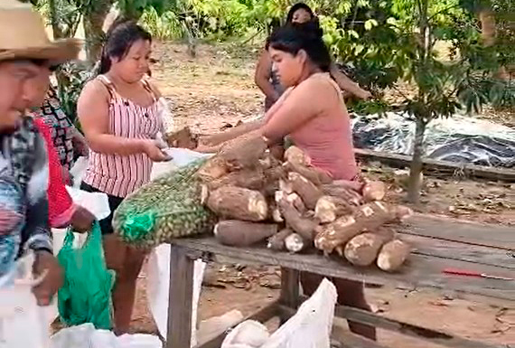 Emater-RO promove segurança alimentar e geração de renda em comunidade indígena por meio do PAA