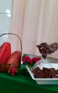 Alternativa de Renmda-Leite e Chocolate (1)