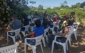 CANDEIAS Cafe Robusta 2023 (17)