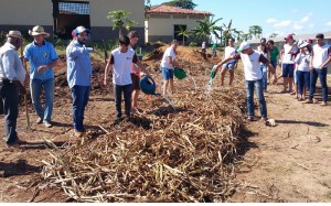 COMPOSTAGEM-ABAITARA (2)