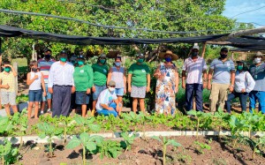 Curso Olericultura Pimenteiras 2021 (11)