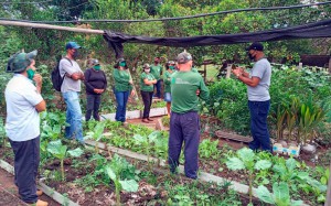 Curso Olericultura Pimenteiras 2021 (5)