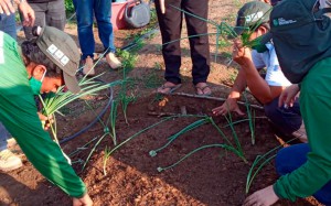 Curso Olericultura Pimenteiras 2021 (6)