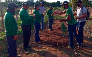 Curso Olericultura Pimenteiras 2021 (7)